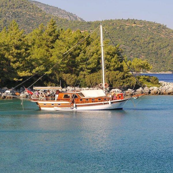Ali Ugur
