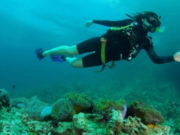 Kuşadası Dalış Turu